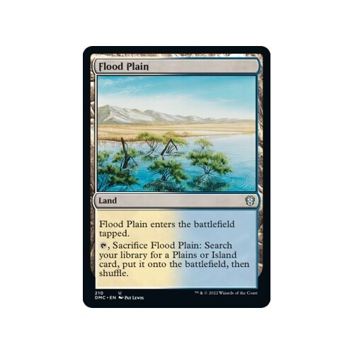 Flood Plain - DMC