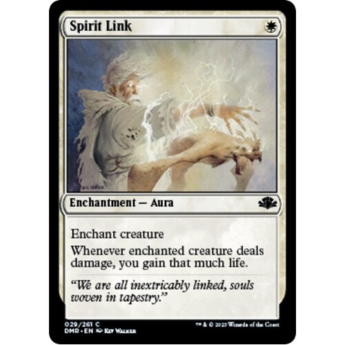 Spirit Link - DMR