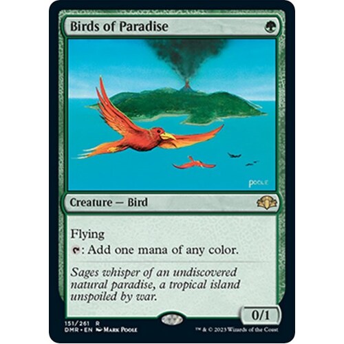 Birds of Paradise - DMR