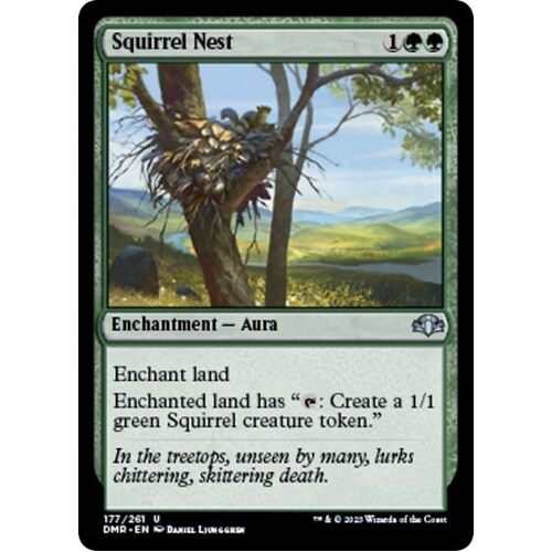 Squirrel Nest - DMR