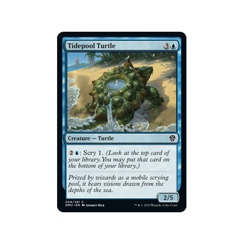 Tidepool Turtle - DMU