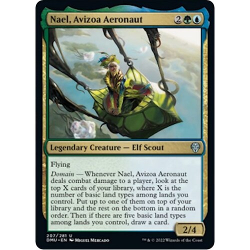 Nael, Avizoa Aeronaut - DMU