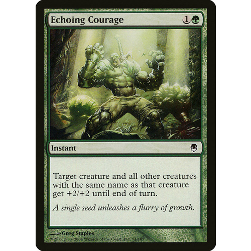 Echoing Courage - DST