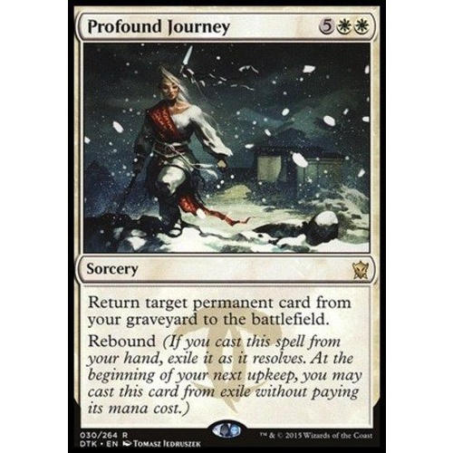 Profound Journey - DTK