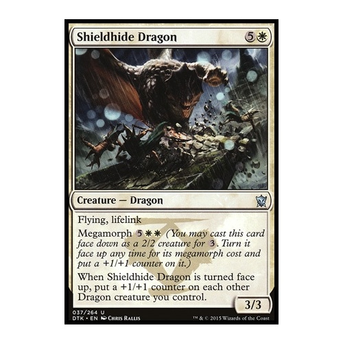 Shieldhide Dragon - DTK