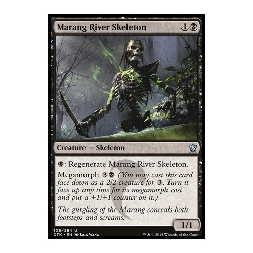 Marang River Skeleton - DTK
