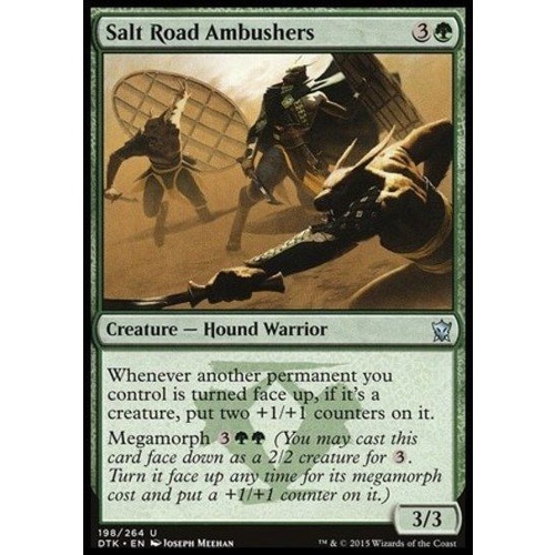 Salt Road Ambushers FOIL - DTK
