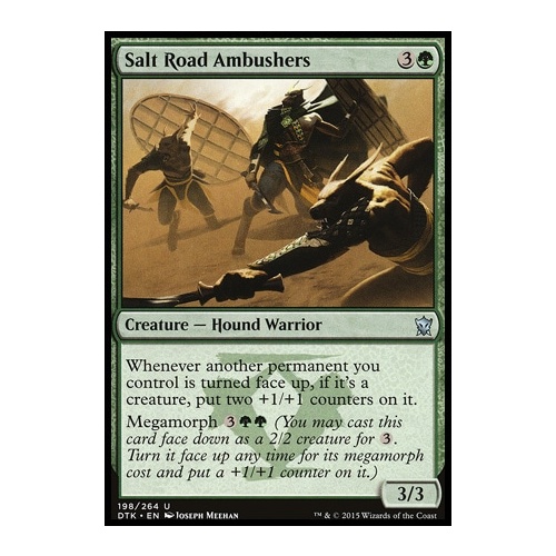 Salt Road Ambushers - DTK