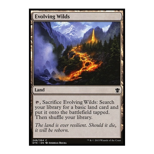 Evolving Wilds FOIL - DTK