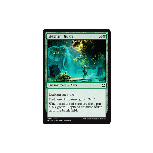 Elephant Guide - EMA