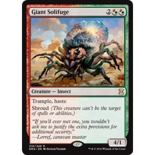 Giant Solifuge - EMA