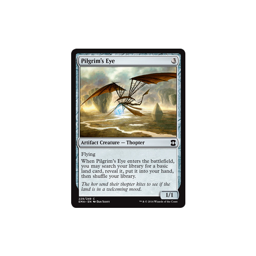 Pilgrim's Eye - EMA