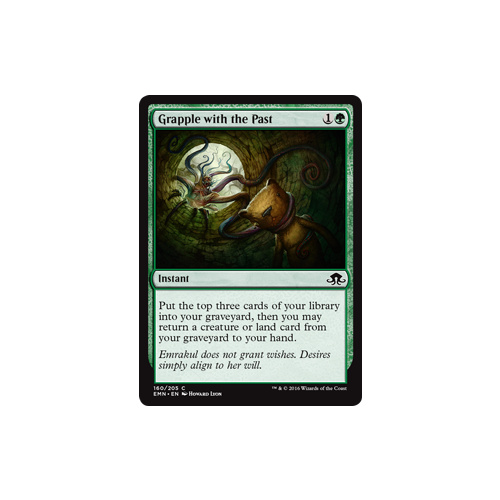 Grapple with the Past - EMN