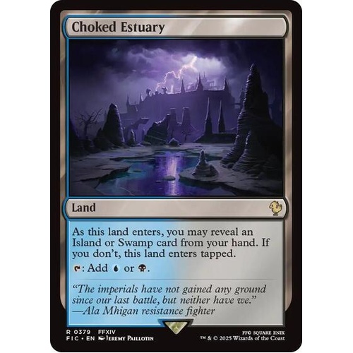 Choked Estuary - FIC