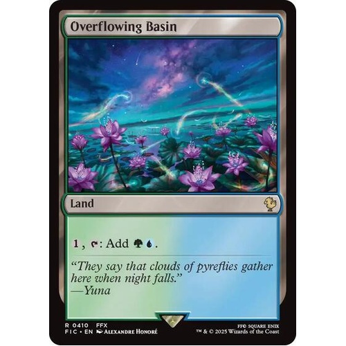 Overflowing Basin - FIC