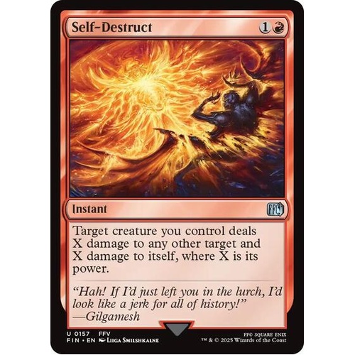 Self-Destruct - FIN