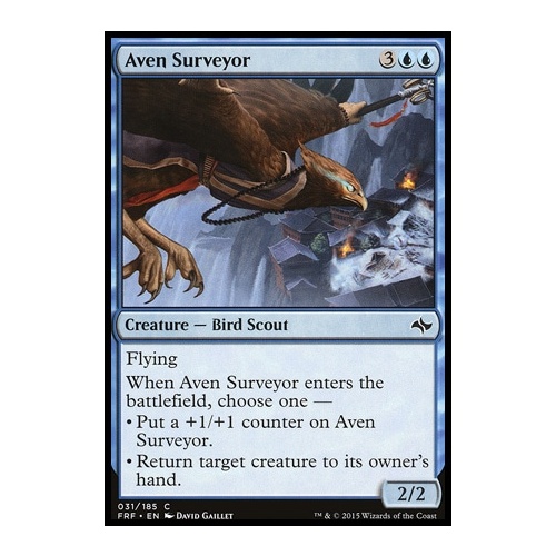 Aven Surveyor - FRF