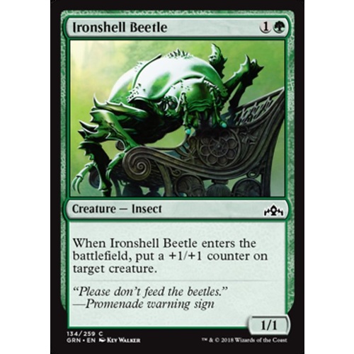 Ironshell Beetle FOIL - GRN