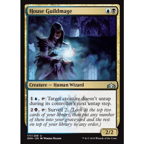 House Guildmage FOIL - GRN