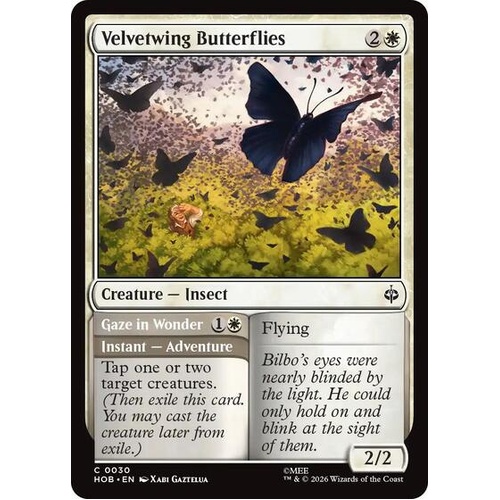 Velvetwing Butterflies - HOB