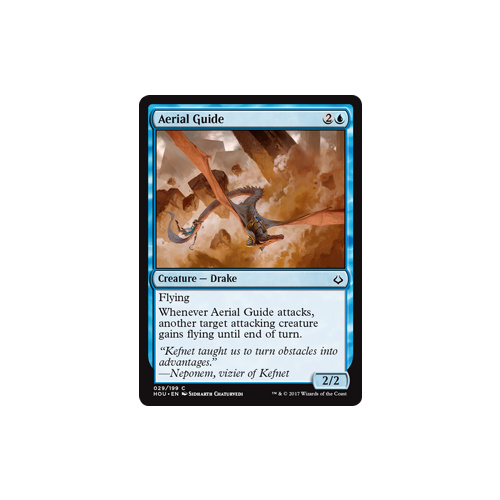 Aerial Guide FOIL - HOU