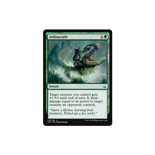 Ambuscade FOIL - HOU