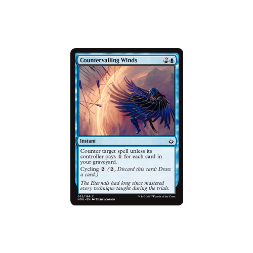 Countervailing Winds FOIL - HOU