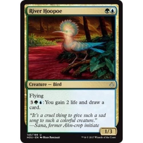 River Hoopoe - HOU
