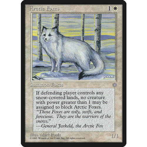 Arctic Foxes - ICE