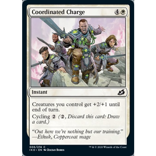 Coordinated Charge - IKO