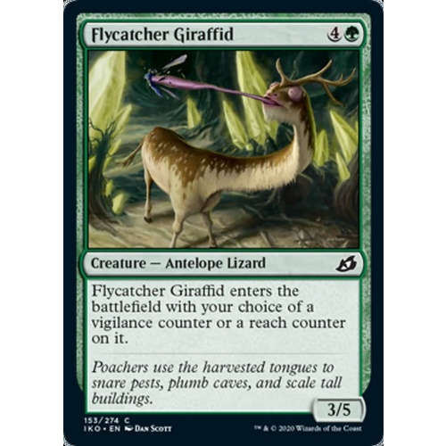 Flycatcher Giraffid - IKO