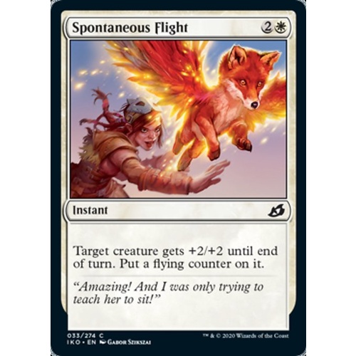 Spontaneous Flight FOIL - IKO