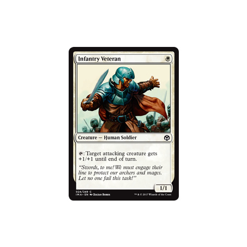 Infantry Veteran - IMA