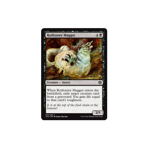 Rotfeaster Maggot FOIL - IMA