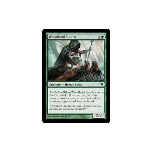 Woodland Sleuth FOIL - ISD
