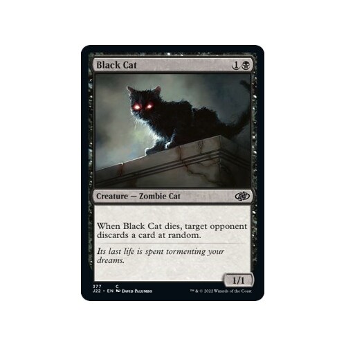 Black Cat - J22