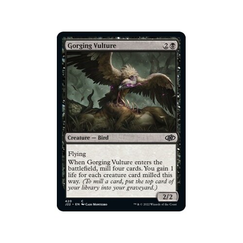 Gorging Vulture - J22