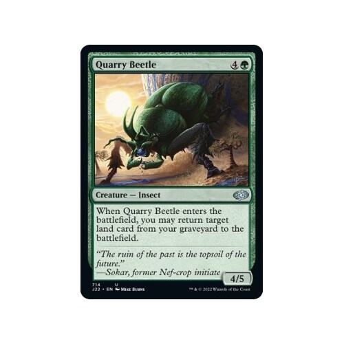 Quarry Beetle - J22