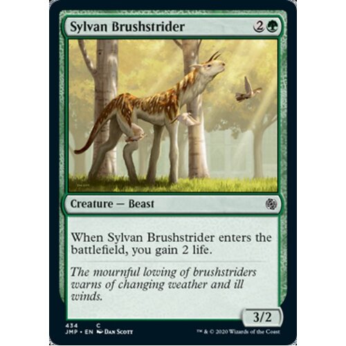 Sylvan Brushstrider - JMP