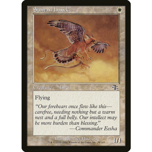 Suntail Hawk - JUD