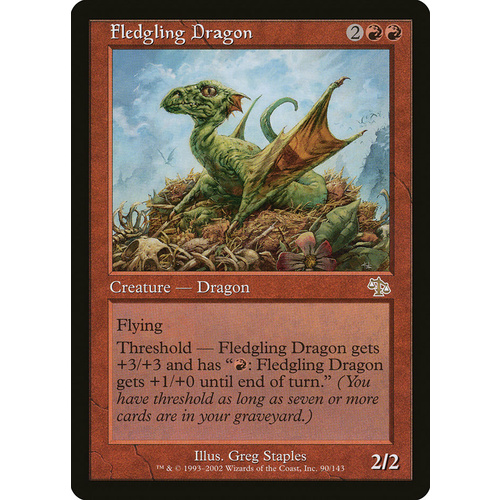 Fledgling Dragon - JUD