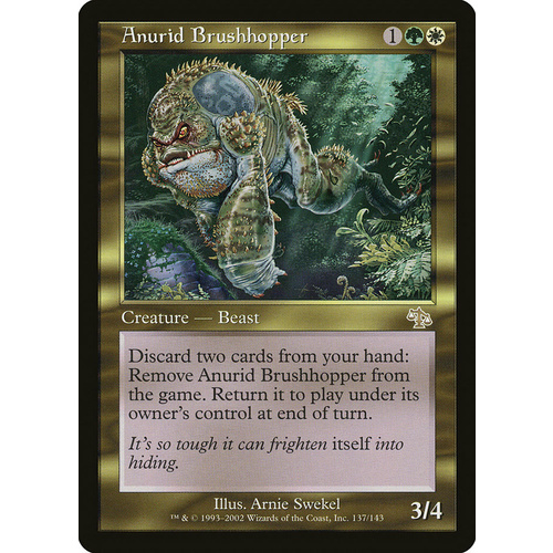 Anurid Brushhopper - JUD