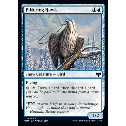 Pilfering Hawk - KHM