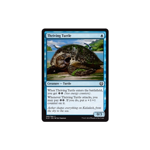 Thriving Turtle - KLD