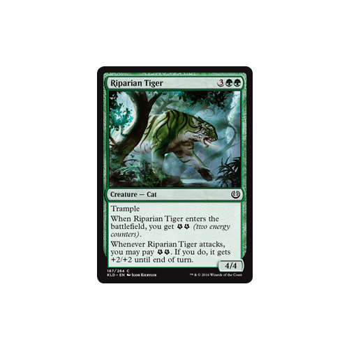 Riparian Tiger - KLD