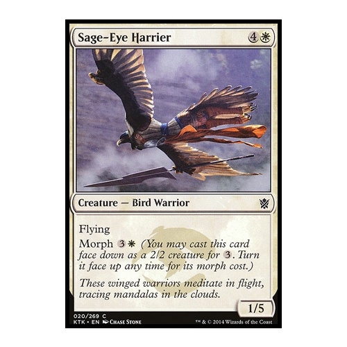 Sage-Eye Harrier - KTK