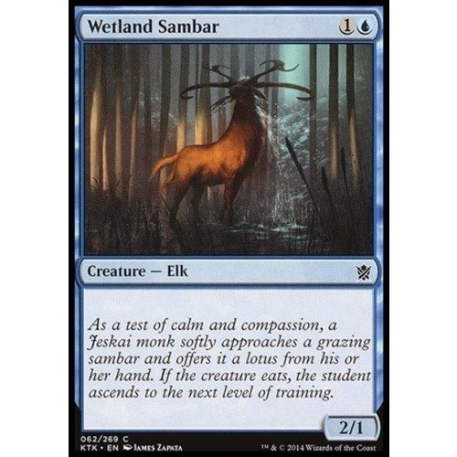 Wetland Sambar - KTK