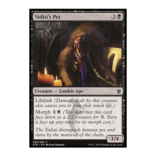 Sidisi's Pet - KTK