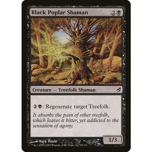 Black Poplar Shaman - LRW