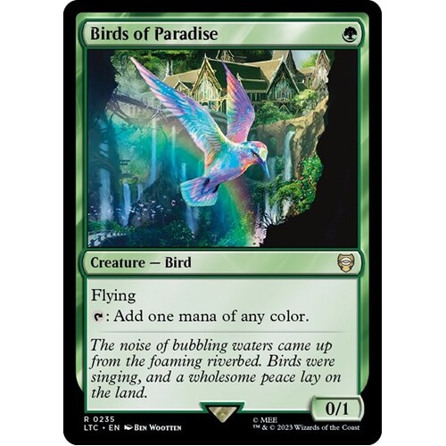 Birds of Paradise - LTC